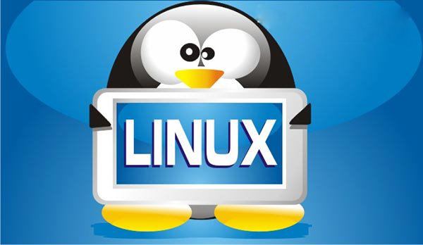 Linux系统作为服务器系统有什么优势?
